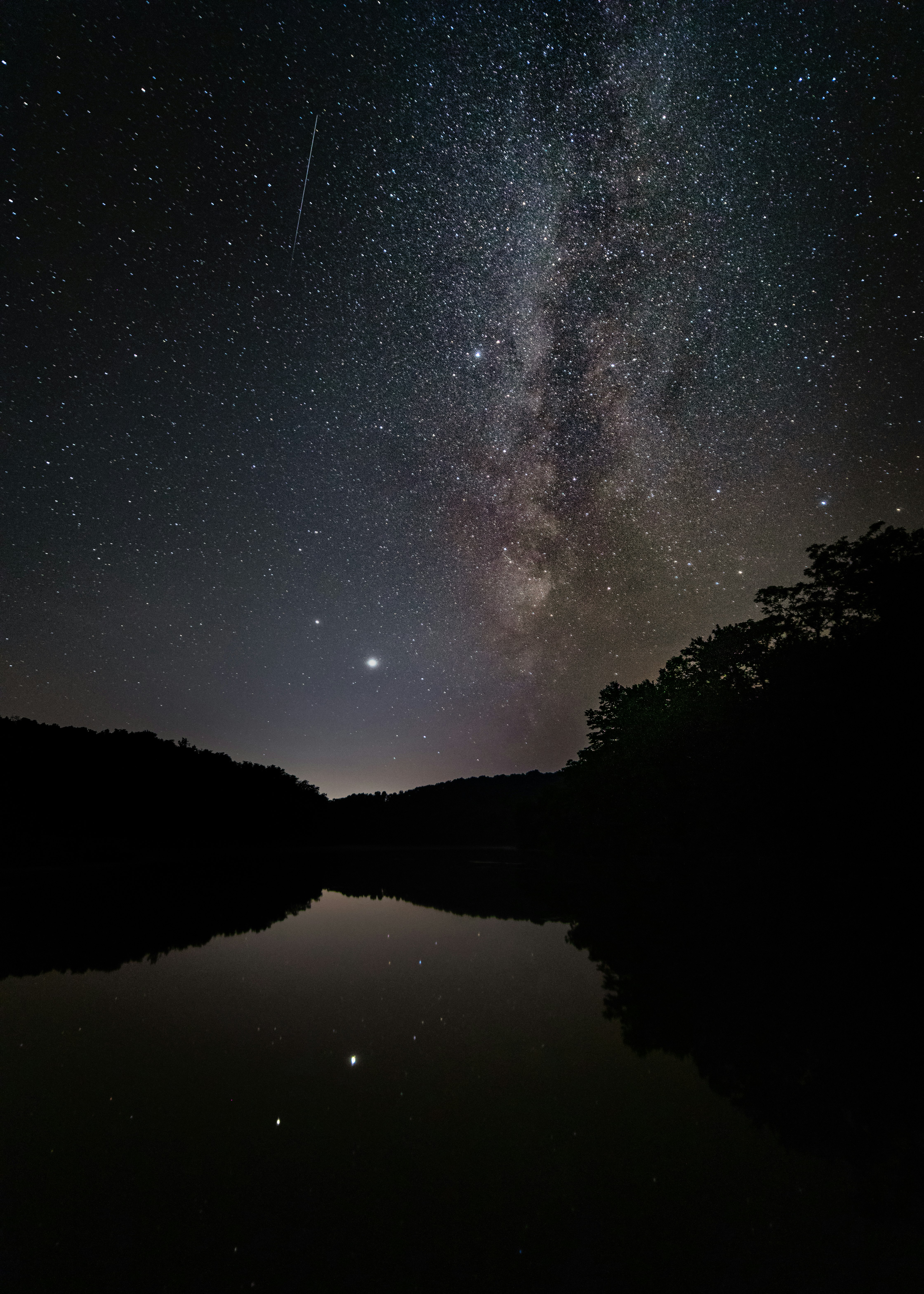 silhouette of trees near body of water during night time